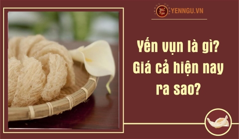 Yến vụn là gì? Giá cả hiện nay ra sao?