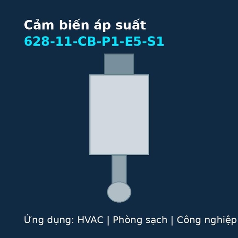 Cảm biến áp suất 628-11-CB-P1-E5-S1