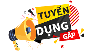 Cơ hội việc làm CSKH – vào làm ngay trong tuần