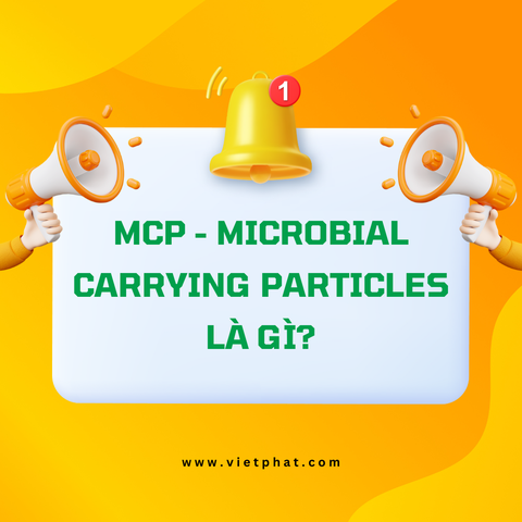 MCP - Microbial Carrying Particles là gì?