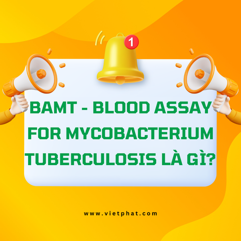 BAMT - Blood Assay for Mycobacterium Tuberculosis là gì?