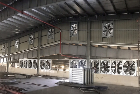 Hệ thống thông gió nhà xưởng bằng quạt công nghiệp