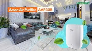 Tấm lọc và sự phát triển của vi khuẩn nấm mốc