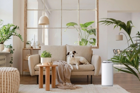 Tấm lọc không khí loại bỏ các mảnh vụn lớn