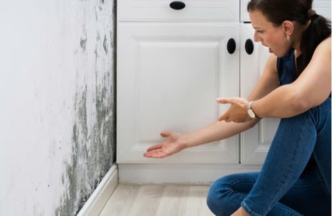 Tấm lọc không khí giúp kiểm soát nấm mốc