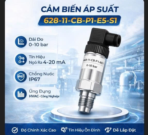 Cảm biến áp suất 628-11-CB-P1-E5-S1