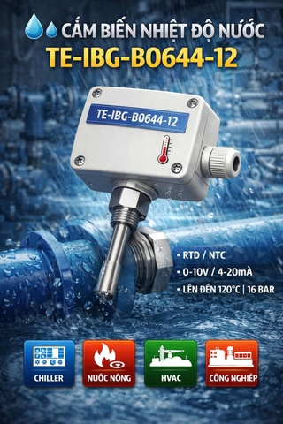 Cảm biến nhiệt độ nước TE-IBG-B0644-12