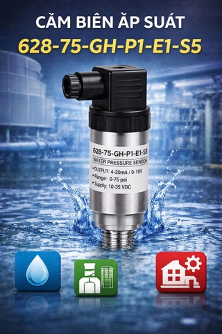 Cảm biến áp suất 628-75-GH-P1-E1-S5