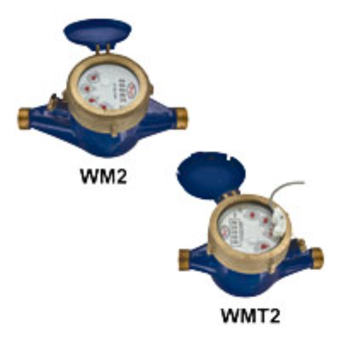 SERIES WM2 & WMT2 – ĐỒNG HỒ NƯỚC