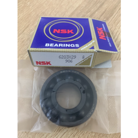 Bạc đạn sứ chịu nhiệt 6204X29 NSK