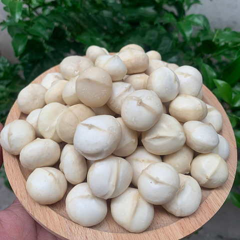 Hạt Macca tách vỏ hữu cơ 500g