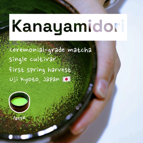 Chakami no Keisho (Dòng trà Kanayamidori | Ceremonial Grade | Thu hoạch tại Kyoto, Nhật Bản