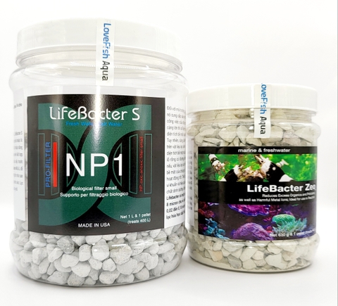 Lifebacter - S - vật liệu lọc sinh học kỵ khí HỮU DỤNG NHẤT