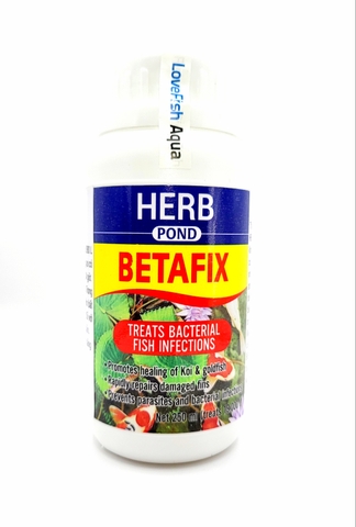 Herb - Betafix - tảo dược phòng bệnh cho cá