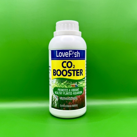 LoveFish - CO2 ooster - CO2 và carbon quang hợp cho bể thủy sinh