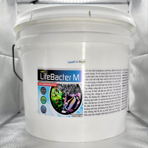 LifeBacter M - Vật liệu lọc sinh học size Trung HỮU DỤNG  NHẤT