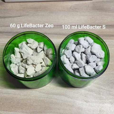 LifeBio - ZeoS - Lọc Bio cho bể Tép, nước ngọt dưới 80L