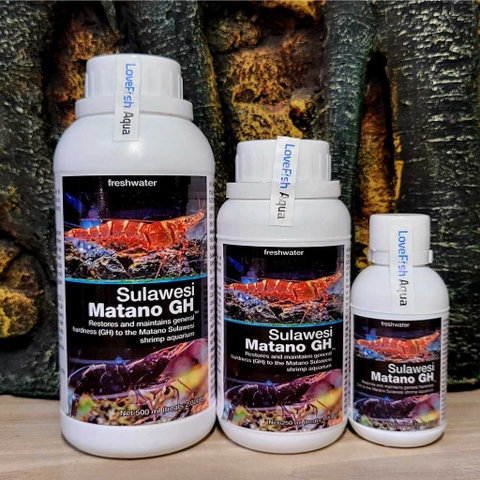 Matano GH - Tăng GH cho bể tép Sula hồ Matano