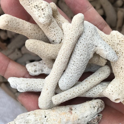 SAN HÔ LỌC NƯỚC HỒ CÁ 500gr