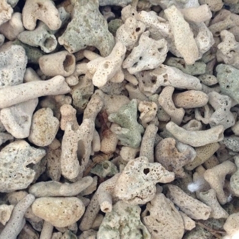 SAN HÔ LỌC NƯỚC HỒ CÁ 500gr