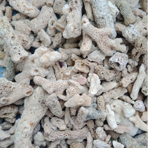 SAN HÔ LỌC NƯỚC HỒ CÁ 500gr