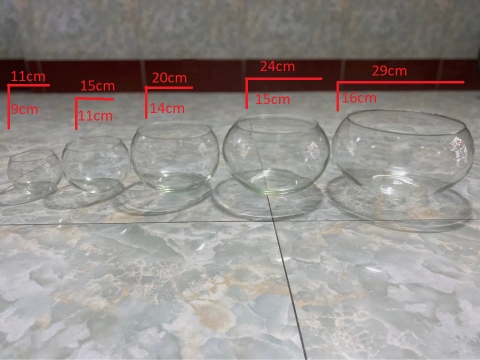 Chậu thủy tinh trang trí VX111, chậu thủy tinh trồng cây thủy sinh, bể cá mini để bàn, bể cá thuỷ sinh VX111