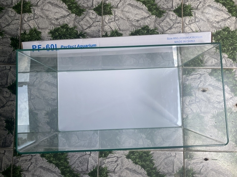 [FREESHIP HCM] Bể Cá Đúc Uốn Cong Hai Cạnh Mặt Trước SIZE 60