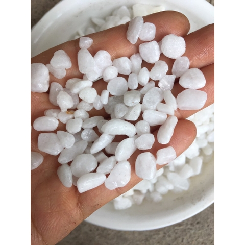 Đá Sỏi Trắng | Size nhỏ ,to
