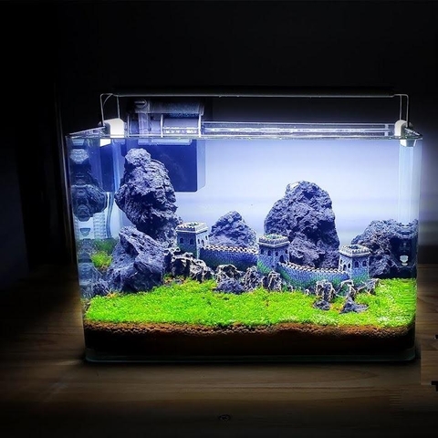 [COMBO TRỌN BỘ] Hồ Thủy Sinh Vạn Lý Trường Thành