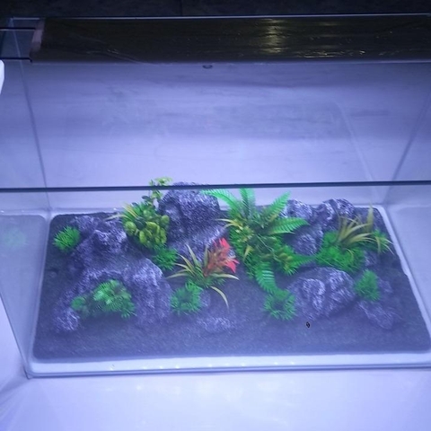 [BACKGROUND 3D] Phông Nền 3D Giả Núi Đá, Giả Cây Trang Trí Cho Hồ Cá Cảnh SIZE 47X23CM