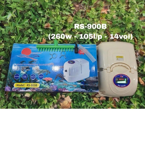 Máy Sạc Oxy Tích Điện Bình Ắc Quy Thương Hiệu REDSUN (AC-DC)