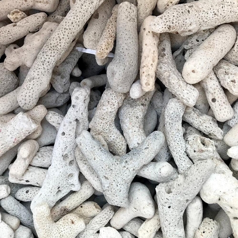 SAN HÔ LỌC NƯỚC HỒ CÁ 500gr