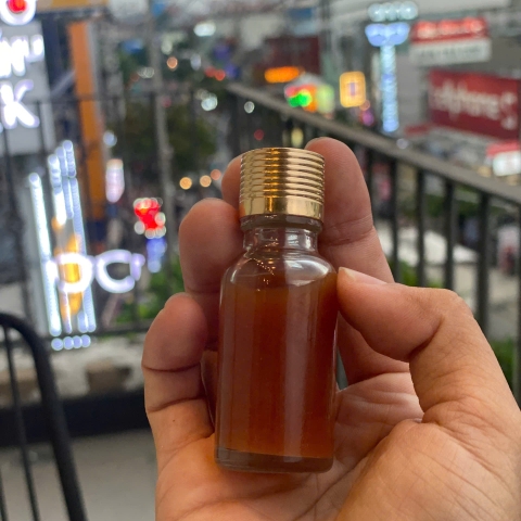 Vi Sinh Sống Cho Hồ Cá Cảnh – Hỗ Trợ Xử Lý Nước & Ổn Định Hệ Sinh Thái Tự Nhiên