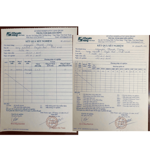 Vi Sinh Sống Cho Hồ Cá Cảnh – Hỗ Trợ Xử Lý Nước & Ổn Định Hệ Sinh Thái Tự Nhiên