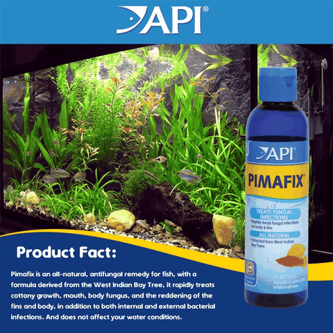 API Pimafix - Dung Dịch Kháng Khuẩn, Kháng Nấm, Kí Sinh Trùng, Chăm Sóc Cá Cao Cấp