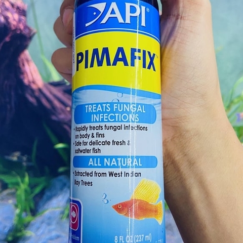 API Pimafix - Dung Dịch Kháng Khuẩn, Kháng Nấm, Kí Sinh Trùng, Chăm Sóc Cá Cao Cấp