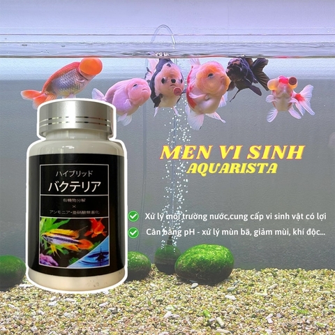 Vi sinh dạng viên nén làm trong nước cho bể cá cảnh Aquarista Nhật Bản