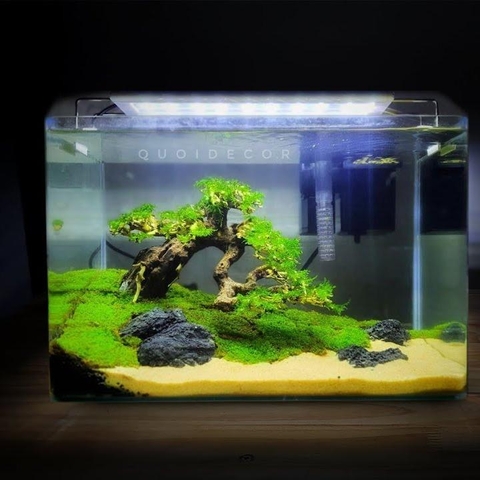 Lũa Bonsai Dáng Huyền Ghép Tán Lá Nhựa | Size Nhỏ ; Vừa ; To ; Đại