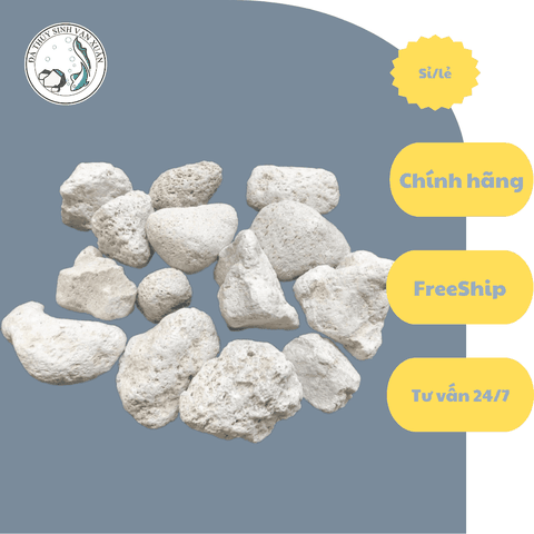 Đá Lông Vũ | Đá Nham Thạch Trắng Vật Liệu Lọc Hồ Cá Hoặc Trang Trí Sân Vườn [500gr]