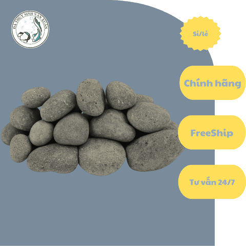 Đá Cuội | Size Nhỏ, Vừa, To, Đại