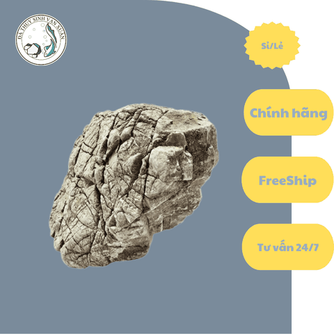 Đá Da Voi | Size 5-10cm ; 10-20cm; >20cm