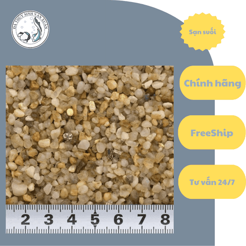Cát Sỏi Suối Hạt To Trải Nền Thủy Sinh