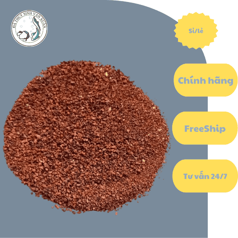 Sạn Đỏ Trang Trí Trải Nền Size Hạt To Và Size Hạt Nhỏ