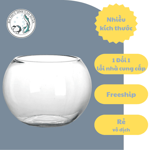 Chậu thủy tinh trang trí VX111, chậu thủy tinh trồng cây thủy sinh, bể cá mini để bàn, bể cá thuỷ sinh VX111