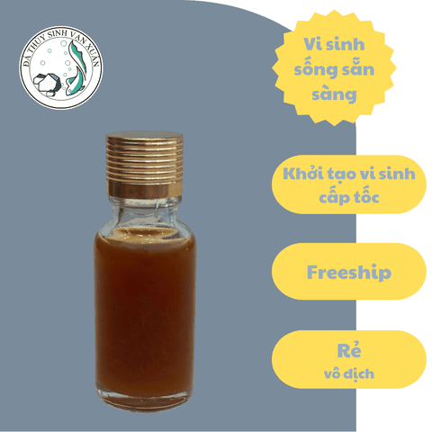 Vi Sinh Sống Cho Hồ Cá Cảnh – Hỗ Trợ Xử Lý Nước & Ổn Định Hệ Sinh Thái Tự Nhiên