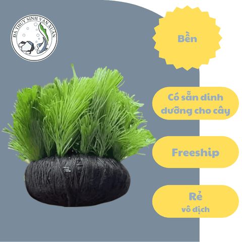 Giá Thể Tròn Quấn Len Trồng Cây Thủy Sinh – Dành Cho Cây Cắt Cắm Đường Kính 7cm