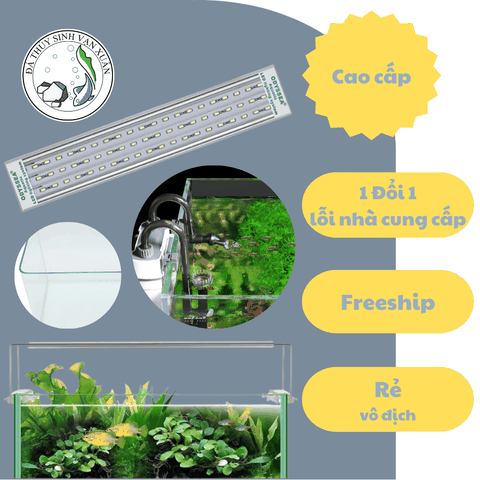 Đèn LED Odyssea Slim X450, Combo Hồ, Lọc