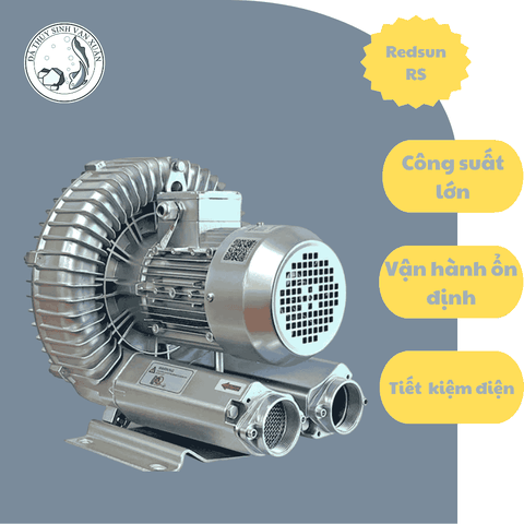 Máy thổi khí con sò Redsun RS Công Suất Lớn