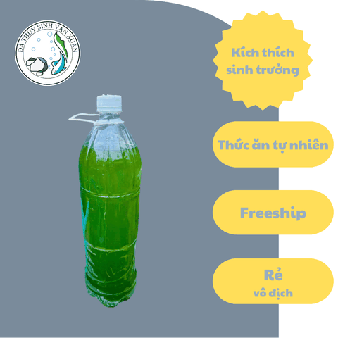 Nước Tảo xanh Nguồn Dinh Dưỡng Quan Trọng Cho Bo Bo, Artemia [Chai 1.5Lit]