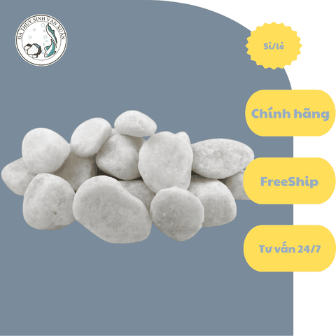 Đá Sỏi Trắng | Size nhỏ ,to